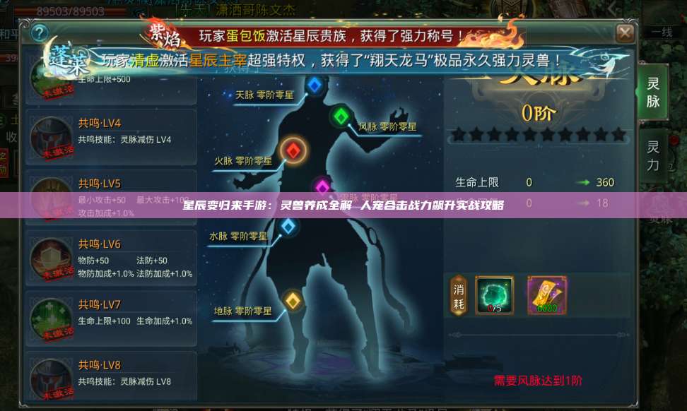 星辰变归来手游:灵兽养成全解 人宠合击战力飙升实战攻略 第1张 星辰变归来手游:灵兽养成全解 人宠合击战力飙升实战攻略 第1张